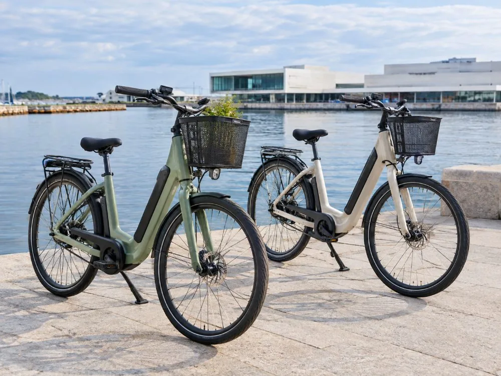 Copenhagen Guided E-Bike Tour